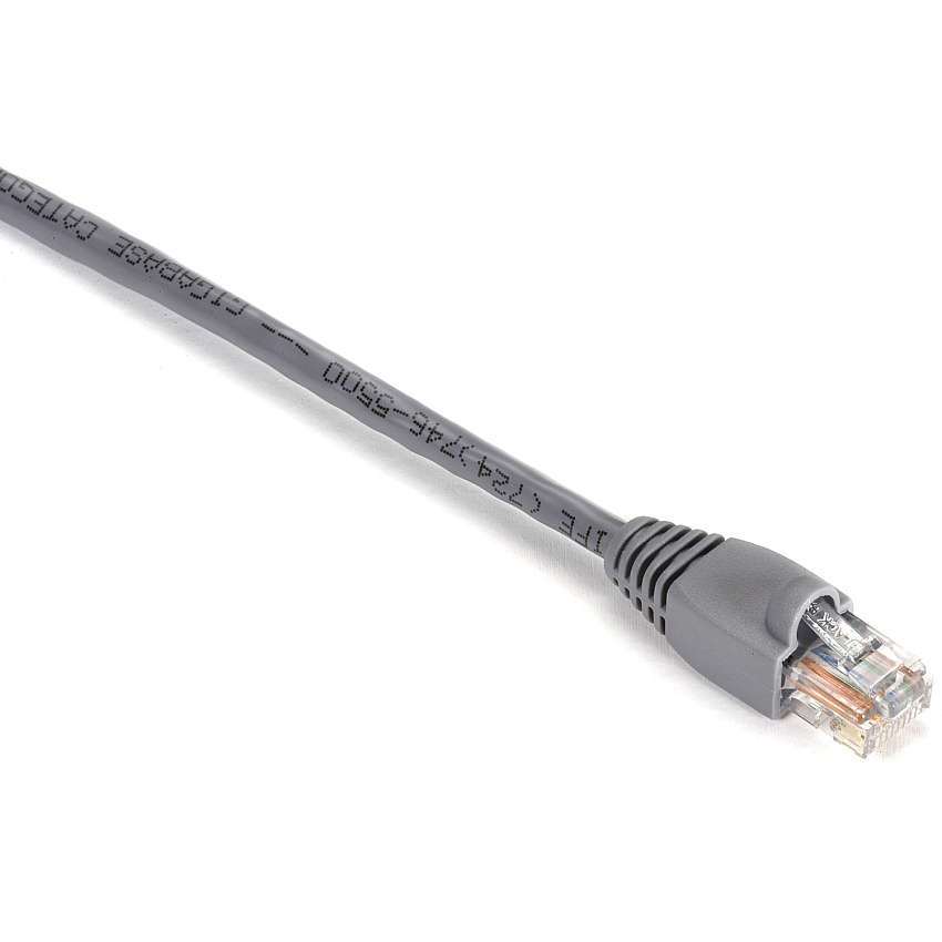 Black Box Cat5e 350-mhz Snagless Stranded Ethernet Patch Cable - Unshielded (utp), Cm Pvc (rj45 M/m), Gray, 1-ft. (0.3-m) (EVNSL800001)
