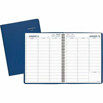 At-A-Glance Fashion Appointment Book Planner (7094020)