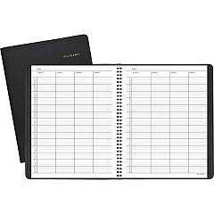 AT-A-GLANCE 4-Person Undated Daily Appointment Book (AAG8031005)