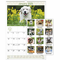 AT-A-GLANCE Puppies Monthly Wall Calendar, Puppies Photography, 15.5 x 22.75, White/Multicolor Sheets, 12-Month (Jan to Dec): 2026 (DMW16728)