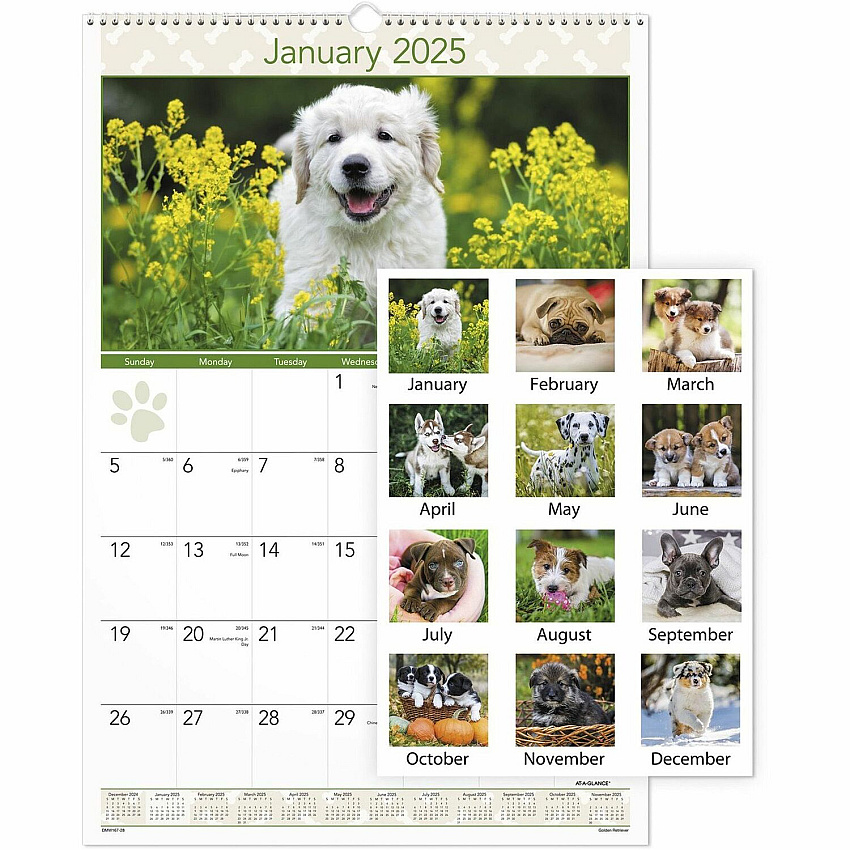 AT-A-GLANCE Puppies Monthly Wall Calendar, Puppies Photography, 15.5 x 22.75, White/Multicolor Sheets, 12-Month (Jan to Dec): 2026 (DMW16728)