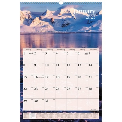AT-A-GLANCE Scenic Wall Calendar (DMW20128)