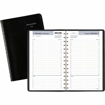 AT-A-GLANCE DayMinder Daily Appointment Book (G10000)