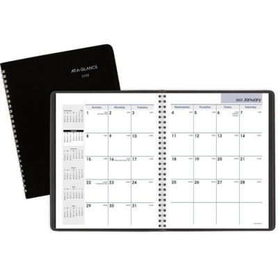 AT-A-GLANCE DayMinder Monthly Planner (G40000)