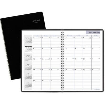 AT-A-GLANCE DayMinder Monthly Planner (G47000)
