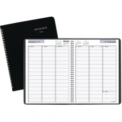 AT-A-GLANCE DayMinder Weekly Appointment Book (G52000)