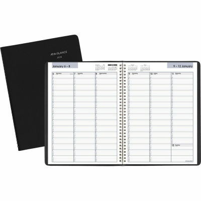 AT-A-GLANCE DayMinder Weekly Appointment Book (G52000)