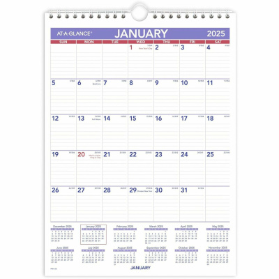 AT-A-GLANCE Monthly Wall Calendar (PM128)