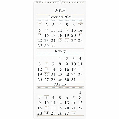 AT-A-GLANCE Three-Month Reference Wall Calendar, 12 x 27, White Sheets, 14-Month: Dec 2025 to Feb 2027 (SW11528)