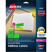 Avery Shipping Labels (AVE5979)