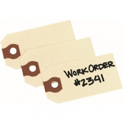 Avery Unstrung Shipping Tags (12301)