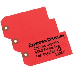 Avery Shipping Tags - Unstrung (12345)