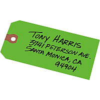 Avery Unstrung Shipping Tags, 11.5 pt. Stock, 4-3/4" x 2-3/8" , 1,000 Green Hang Tags (AVE12365)
