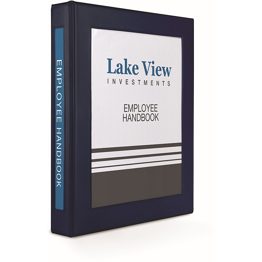 Avery Heavy-Duty Framed View 3-Ring Binder (AVE68055)