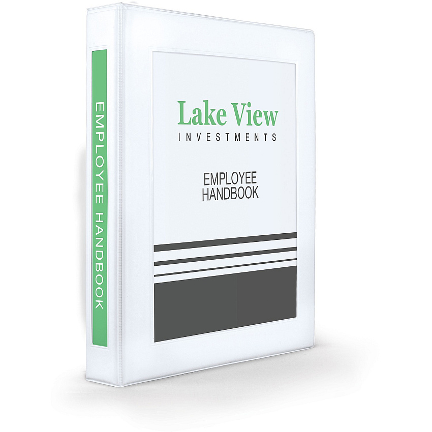 Avery Heavy-Duty Framed View 3-Ring Binder (AVE68056)