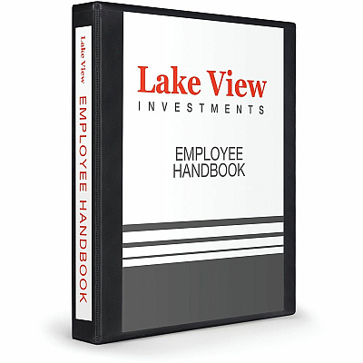 Avery Heavy-Duty View 3 Ring Binder (AVE79699)
