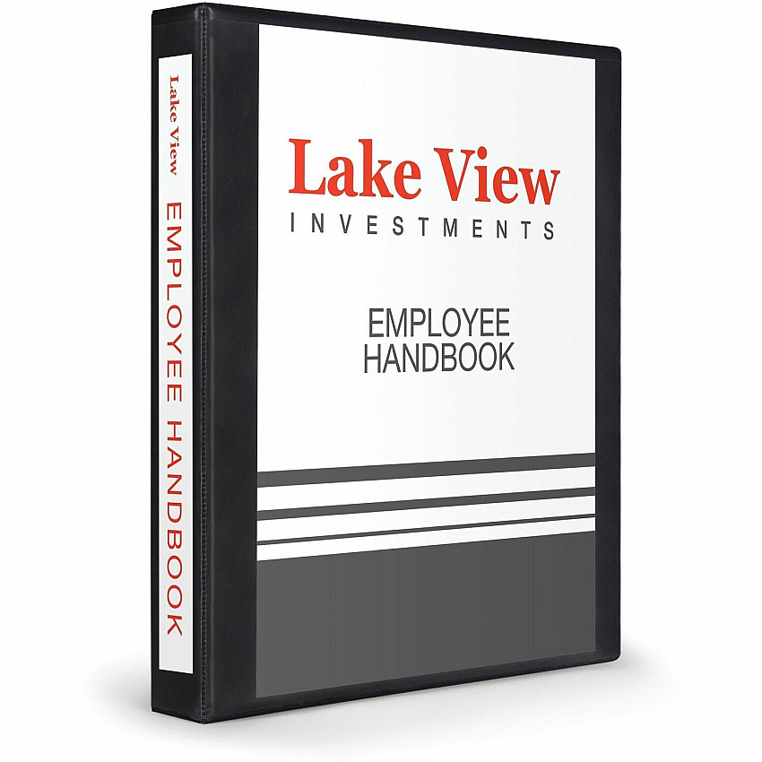 Avery Heavy-Duty View 3 Ring Binder (AVE79699)