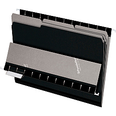 Pendaflex 1/3 Tab Cut Letter Recycled Top Tab File Folder (PFX421013BLA)