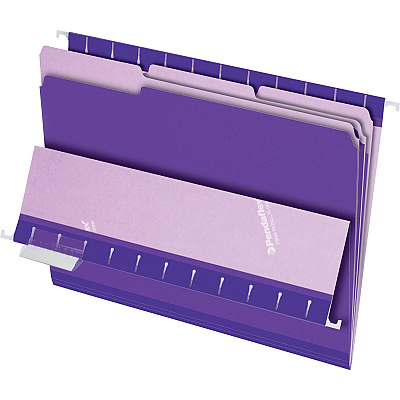 Pendaflex 1/3 Tab Cut Letter Recycled Top Tab File Folder (PFX421013VIO)