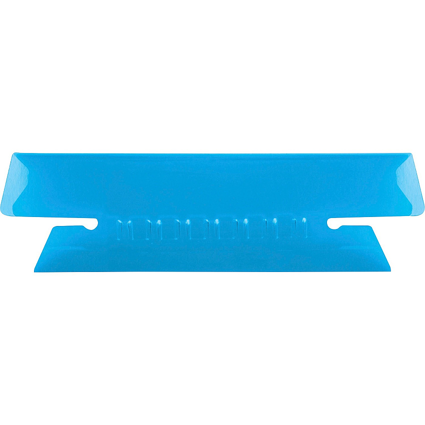 Pendaflex Hanging Folder Plastic Insertable Tabs (PFX4312BLU)