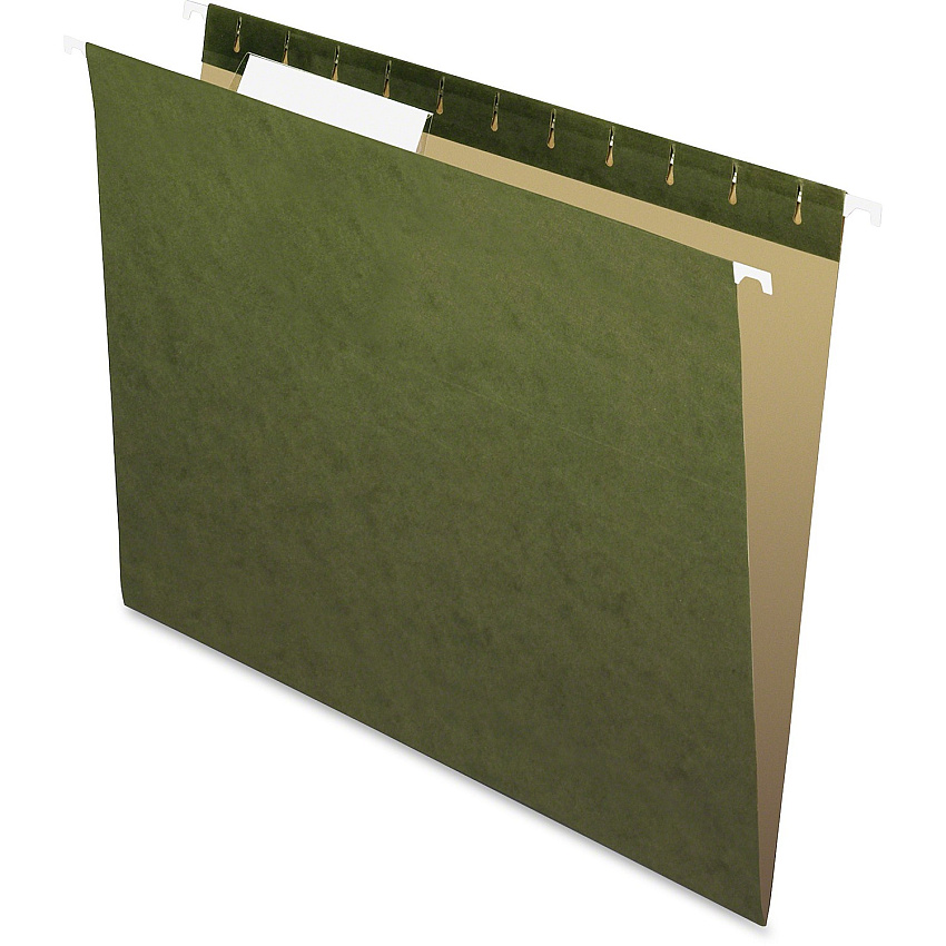 Pendaflex Essentials 1/3 Tab Cut Letter Recycled Hanging Folder (PFX81601)