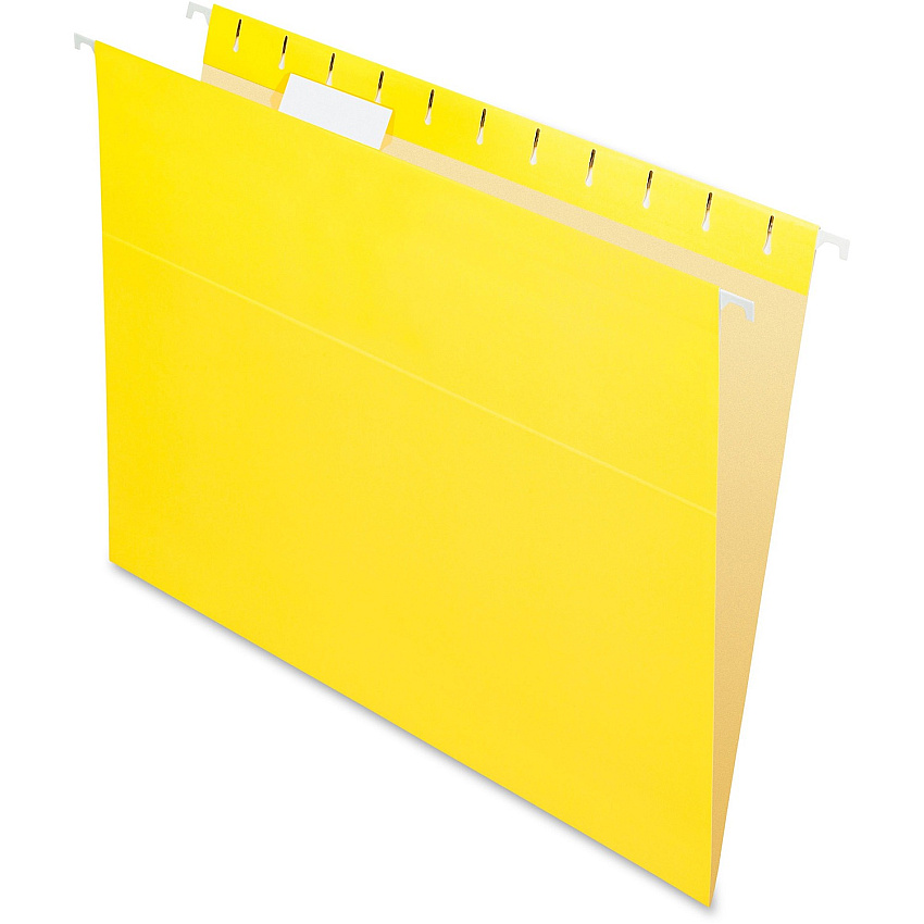 Pendaflex Essentials 1/5 Tab Cut Letter Recycled Hanging Folder (PFX81606)