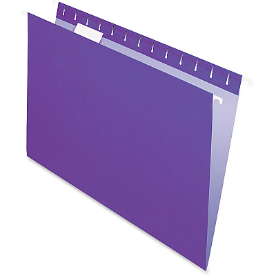 Pendaflex Essentials 1/5 Tab Cut Letter Recycled Hanging Folder (PFX81611)