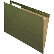 Pendaflex Essentials 1/3 Tab Cut Legal Recycled Hanging Folder (PFX81621)