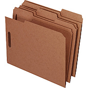 Pendaflex 1/3 Tab Cut Letter Recycled Fastener Folder (PFXFK212)