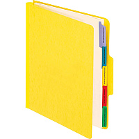Pendaflex 1/3 Tab Cut Letter Recycled Organizer Folder (PFXSER1YEL)