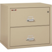 FireKing Insulated File Cabinet - 2-Drawer (23122CPA)