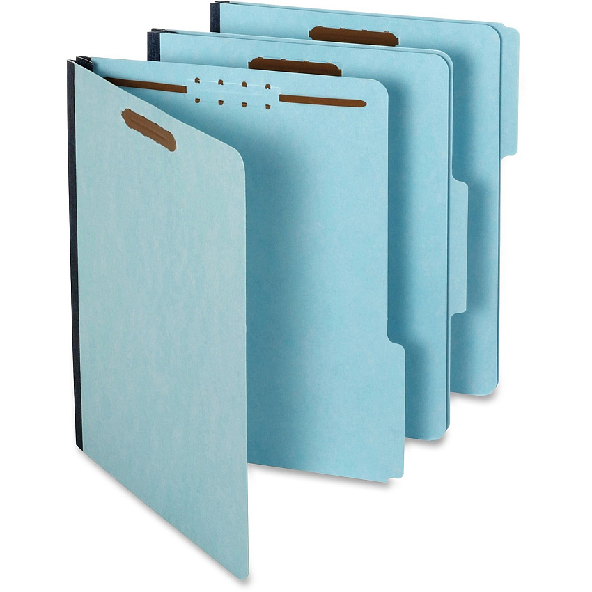 Pendaflex 1/3 Tab Cut Letter Recycled Classification Folder (PFX615F213BLU)