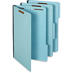 Pendaflex 1/3 Tab Cut Legal Recycled Classification Folder (PFX616F213BLU)