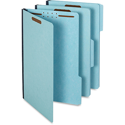 Pendaflex 1/3 Tab Cut Legal Recycled Classification Folder (PFX616F213BLU)