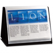 Lion Flip-N-Tell Display Easel Books (39008)