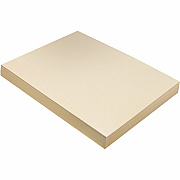 Pacon Tagboard (PAC5111)