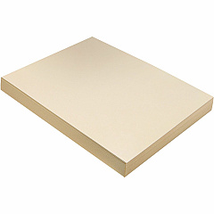 Pacon Tagboard (PAC5111)