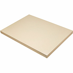 Pacon Tagboard (PAC5120)
