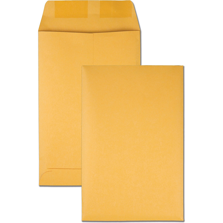 Quality Park 6 x 9 Catalog Mailing Envelopes (QUA40767)