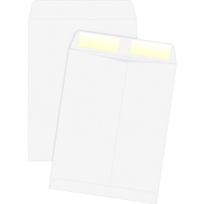 Quality Park White Plain Catalog Envelopes (41488)