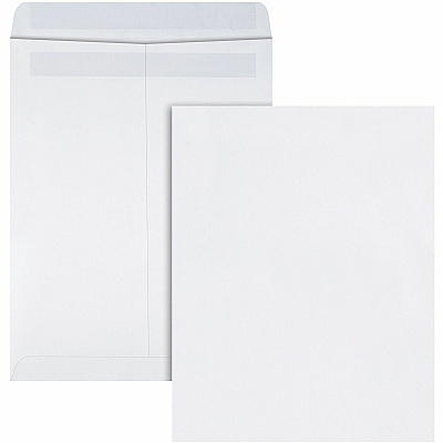 Quality Park 9-1/2 x 12-1/2 Catalog Mailing Envelopes with Redi-Seal Self-Seal Closure (QUA43617)