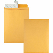 Quality Park 9 x 12 Catalog Envelopes with Redi-Strip Closure (QUA44562)