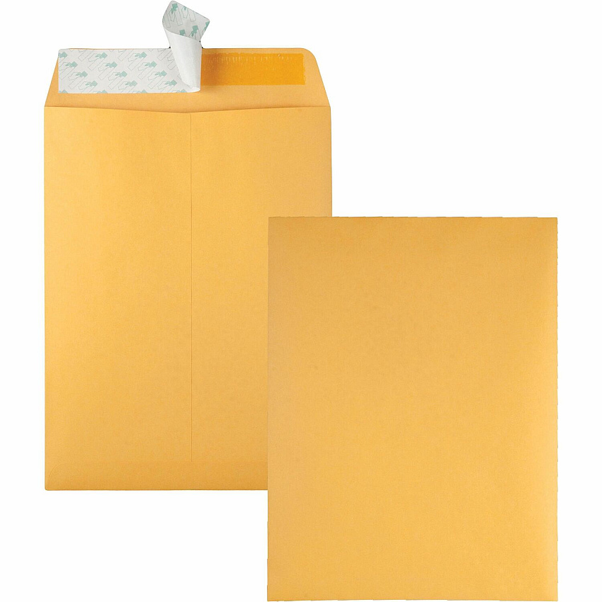 Quality Park 9 x 12 Catalog Envelopes with Redi-Strip Closure (QUA44562)