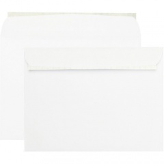 Quality Park Redi-strip Booklet Envelopes (44580)