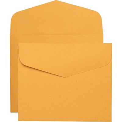 Quality Park Extra Heavyweight Document Envelopes (54300)