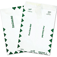 Survivor 9 x 12 DuPont Tyvek First Class Border Mailers with Self-Seal Closure (QUAR1470)
