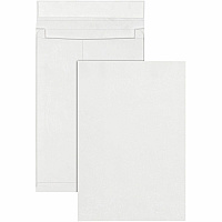 Survivor 12 x 16 x 2 DuPont Tyvek Expansion Mailers with Self-Seal Closure (QUAR4292)