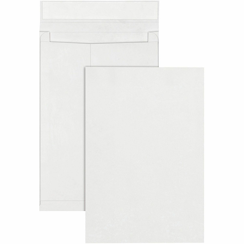 Survivor 12 x 16 x 2 DuPont Tyvek Expansion Mailers with Self-Seal Closure (QUAR4292)