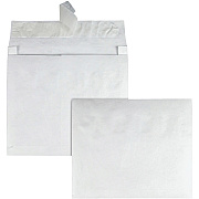 Survivor 10 x 13 x 2 DuPont Tyvek Expansion Mailers with Self-Seal Closure (QUAR4430)