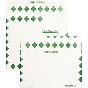 Survivor 10 x 13 x 2 DuPont Tyvek Expansion First Class Border Mailers (QUAR4440)